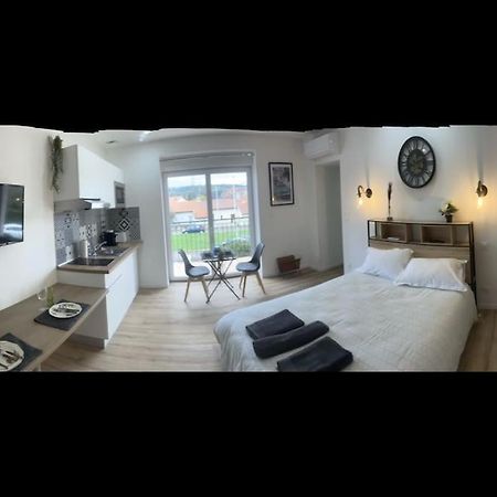 Wagner'Studio Balneo'Terrasse Au Calme Chasse-sur-Rhône Esterno foto